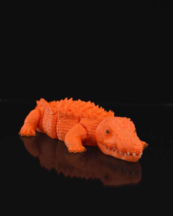 Crocodil - imagine 8