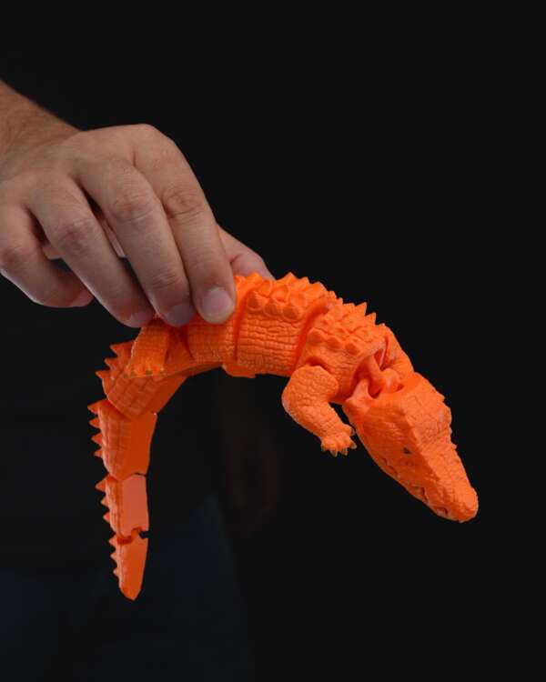 Crocodil - imagine 7