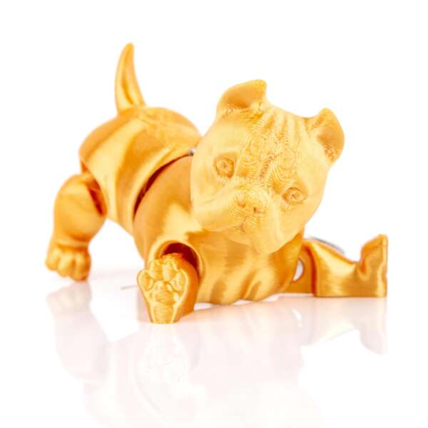 Breloc American Bully Gold - imagine 3