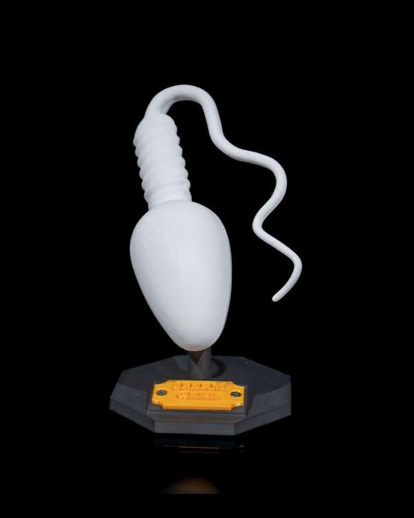 Machetă anatomică Celulă Spermatozoid - imagine 11