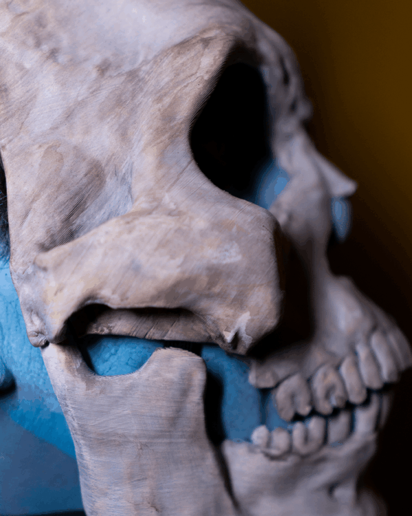 Masca Skeleton - imagine 4