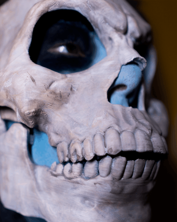 Masca Skeleton - imagine 2
