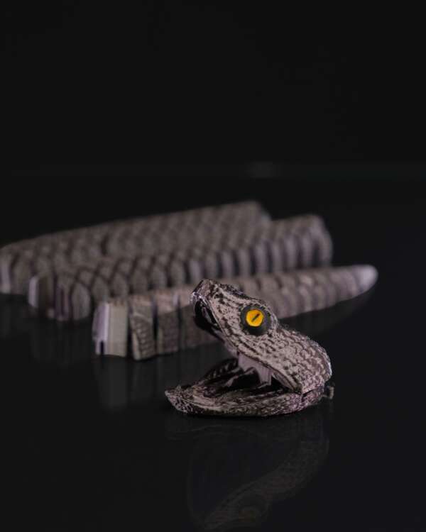 Bush Viper - imagine 6