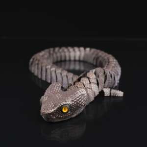 Bush Viper