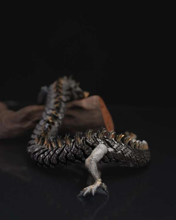 Chinese Dragon - imagine 7
