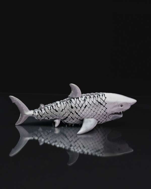 Great White Shark