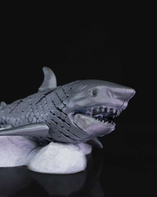 Great White Shark - imagine 3