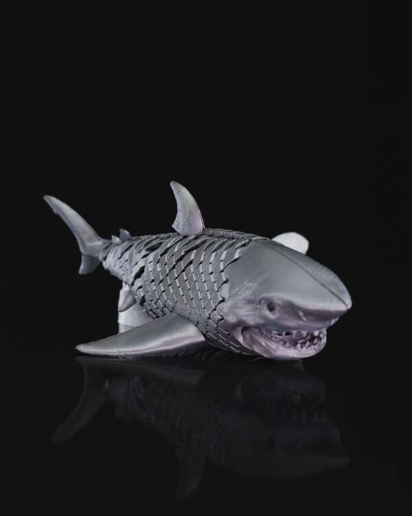 Great White Shark - imagine 5