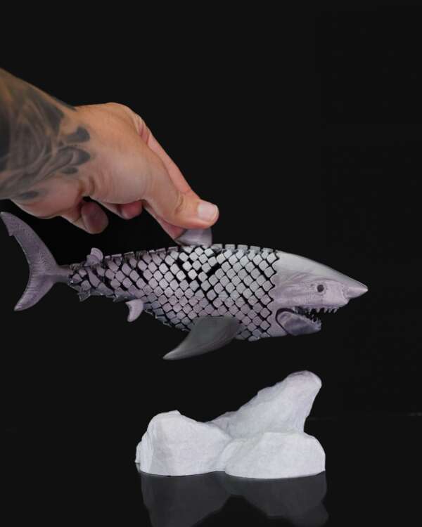 Great White Shark - imagine 7