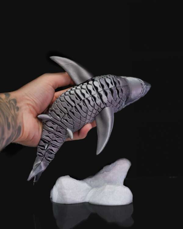 Great White Shark - imagine 4