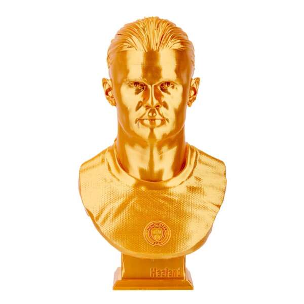 Bust Haland