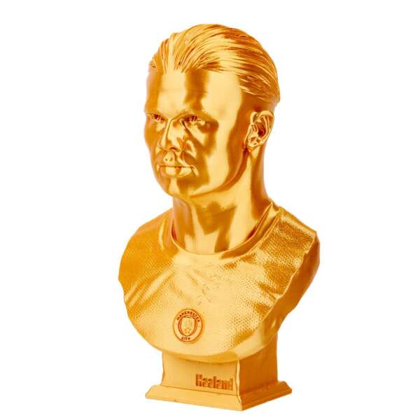 Bust Haland - imagine 2