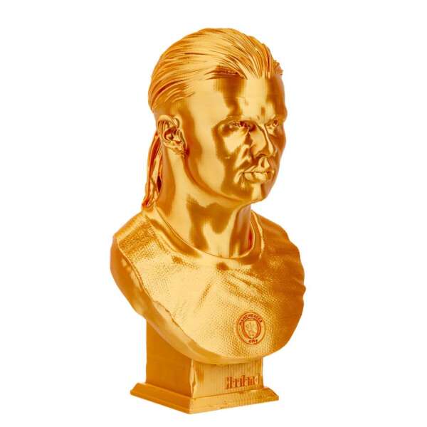 Bust Haland - imagine 3