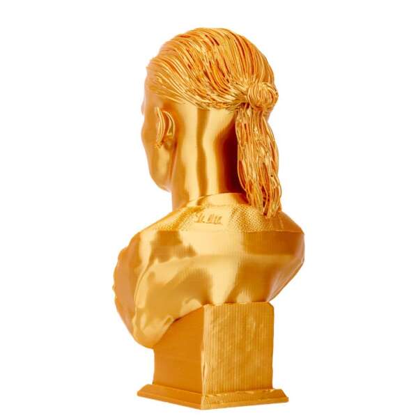 Bust Haland - imagine 4