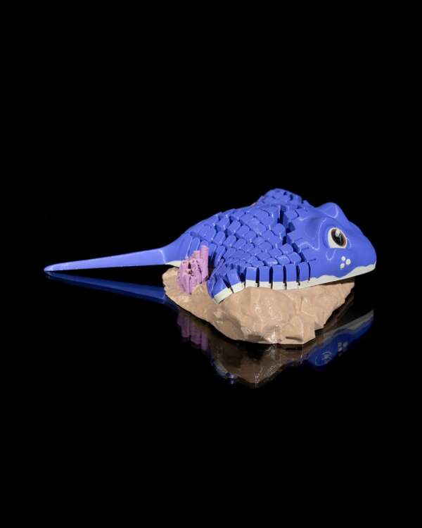 Ray, the Manta Ray - imagine 6