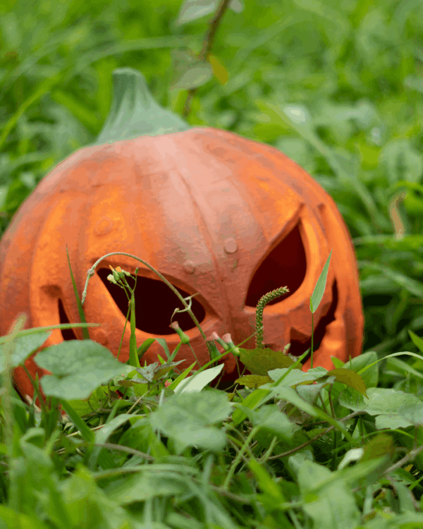 Pumpkin Helmet - imagine 4