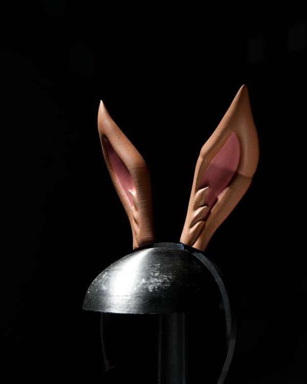 Rabbit Ear Tiara - imagine 3