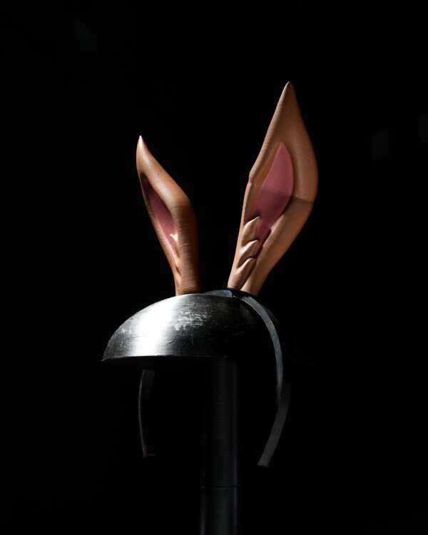 Rabbit Ear Tiara - imagine 4
