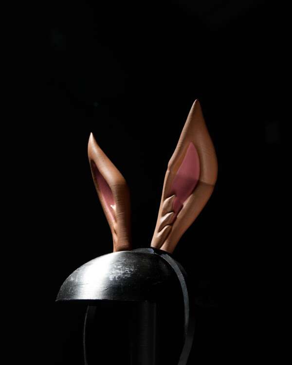 Rabbit Ear Tiara - imagine 5