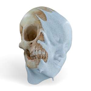 Melting Face Wall Mount