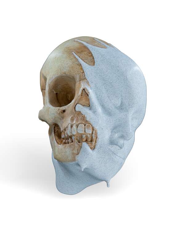 Melting Face Wall Mount