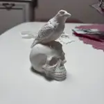 Skull with crow