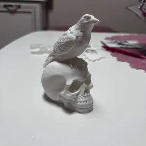Skull with crow