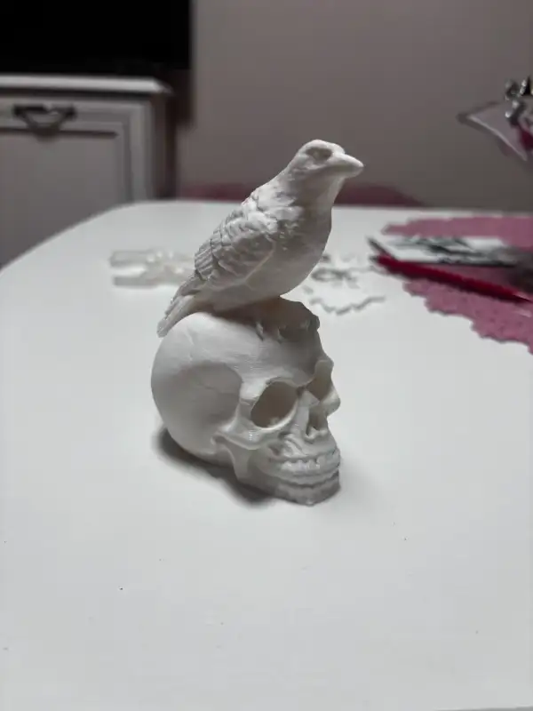 Skull with crow