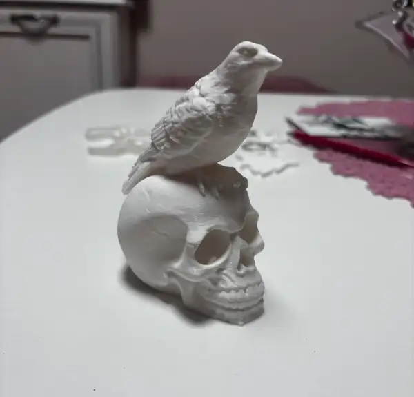 Skull with crow - imagine 3