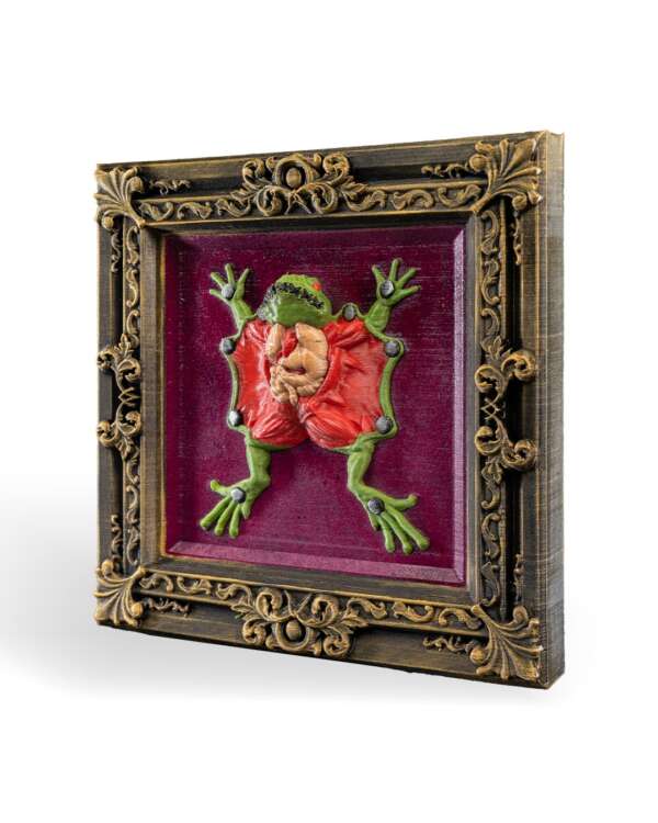 Dissected Frog - imagine 3