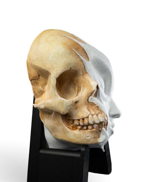 Melting Face Wall Mount - imagine 4
