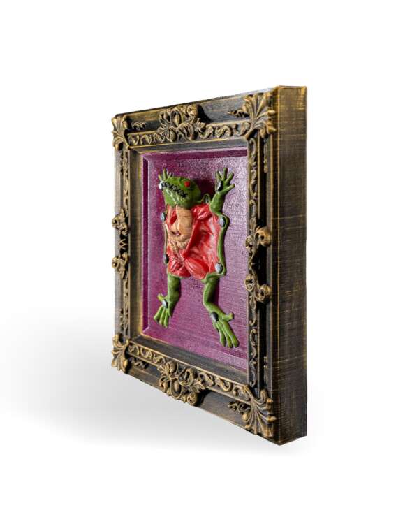 Dissected Frog - imagine 4