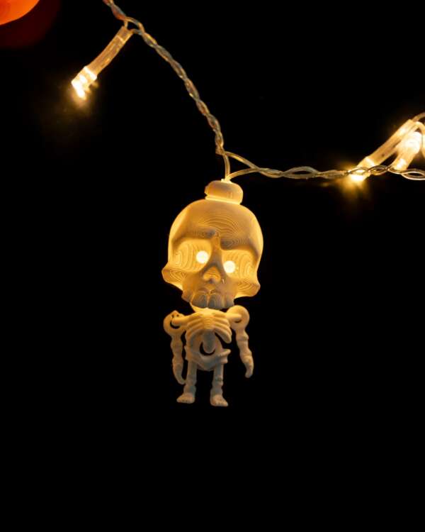 Funny Skeleton Fairy Lights