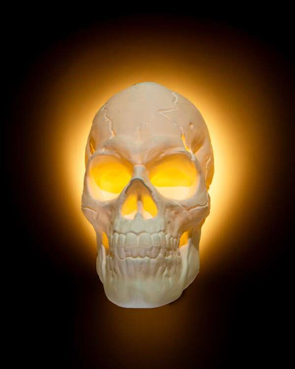 Light Headed Wall Light