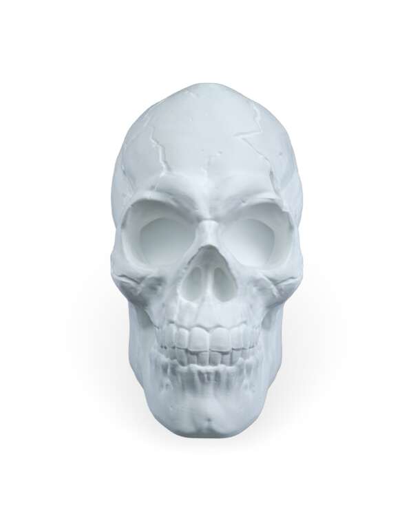 Light Headed Wall Light - imagine 5