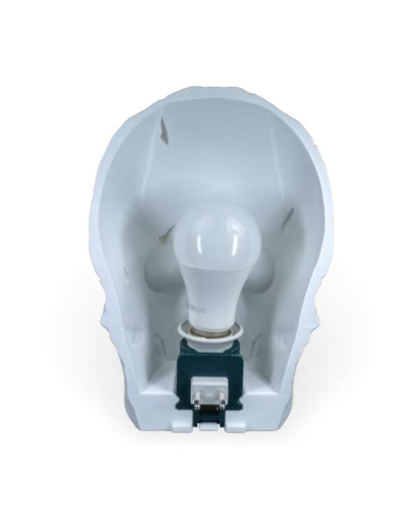 Light Headed Wall Light - imagine 9