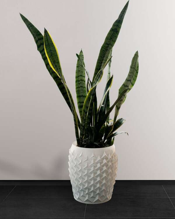 Vaza de flori Pointy Flowerpot - imagine 9