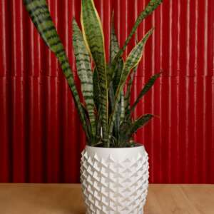 Vaza de flori Pointy Flowerpot