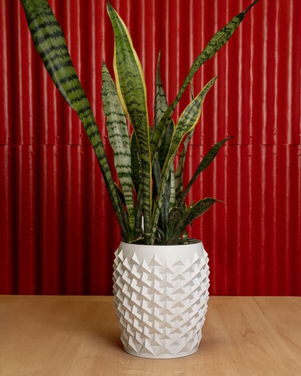 Vaza de flori Pointy Flowerpot