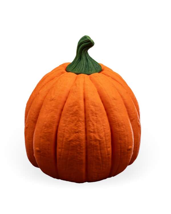 Pumpkin Head Halloween Mask - imagine 7