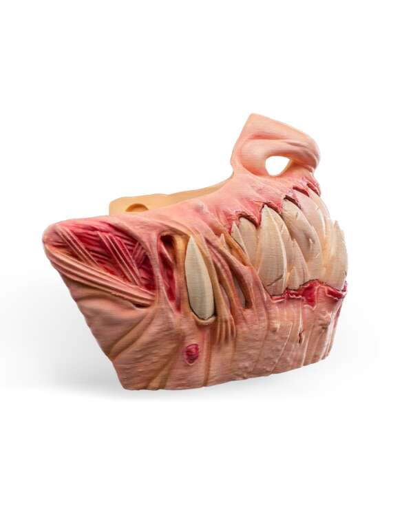 Savage Smile Halloween Mask - imagine 4
