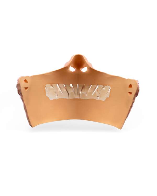 Savage Smile Halloween Mask - imagine 6