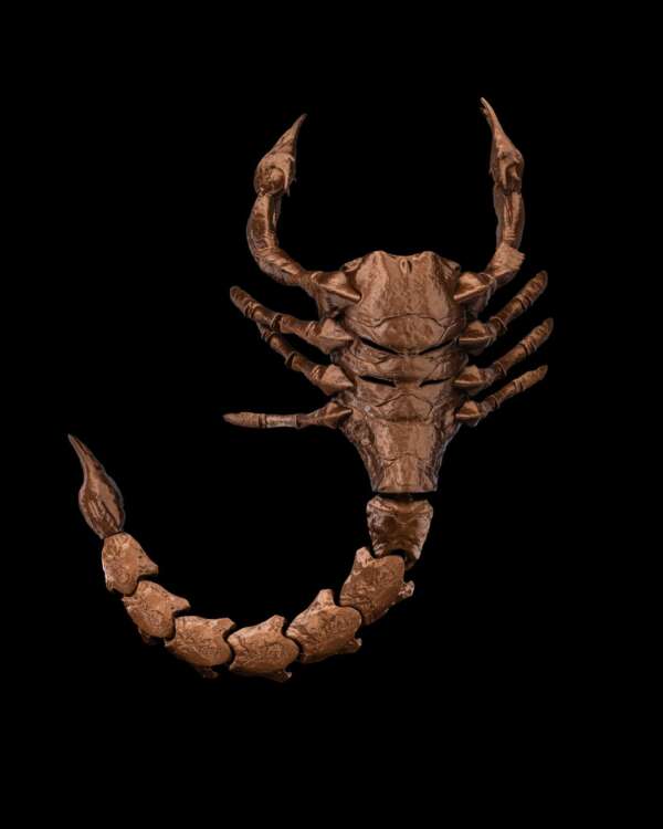 Scorpion Grasp Halloween Mask - imagine 7
