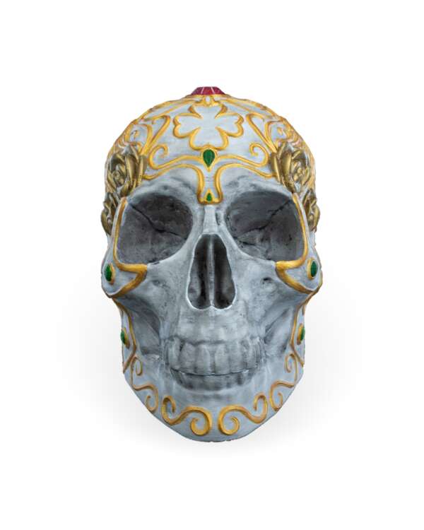 Skull with a Secret Deck box