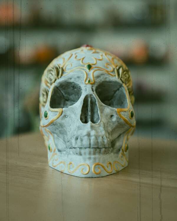 Skull with a Secret Deck box - imagine 2