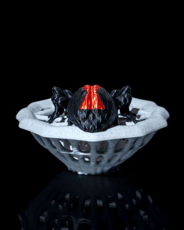 Spider Candy Bowl - imagine 4