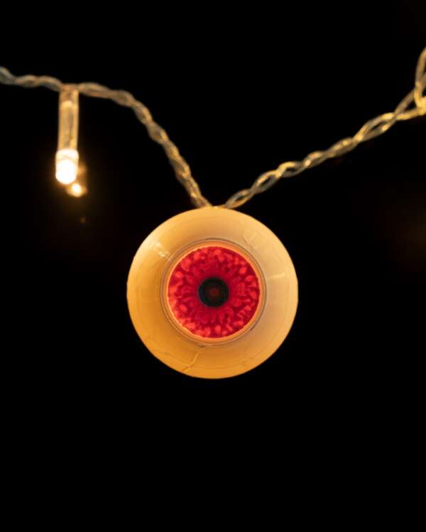 Spooky Sight Fairy Lights