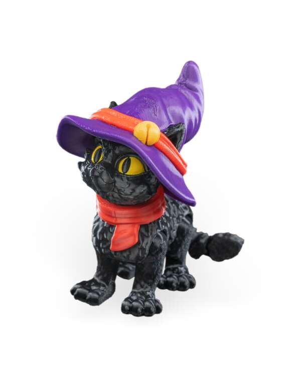 Cat in a hat