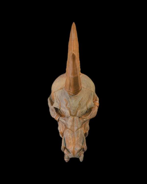 Black Dragon Skull – proiect STL 3D