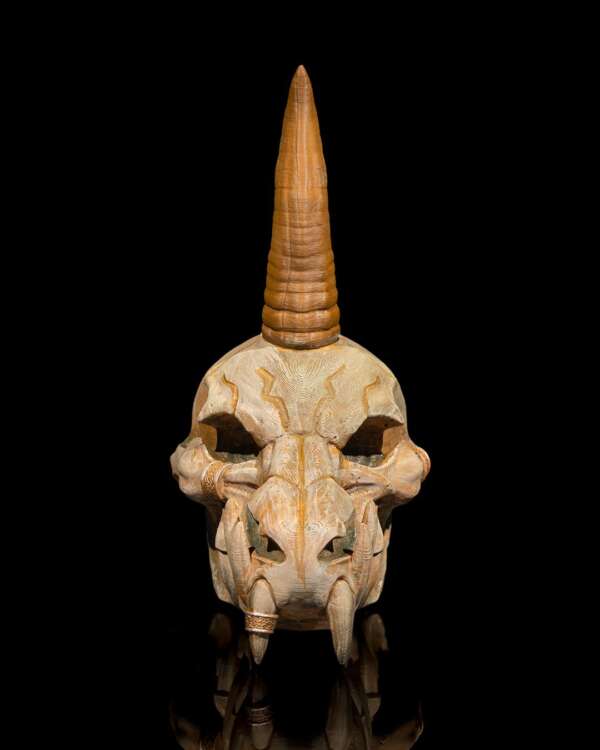 Black Dragon Skull - imagine 2